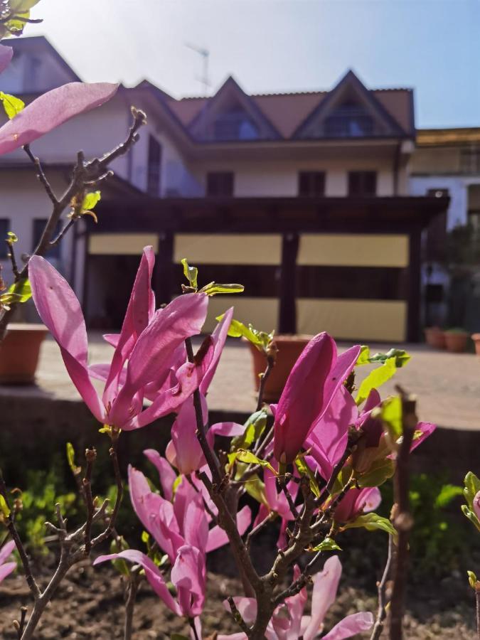Hotel Edelweiss